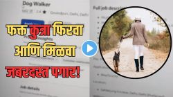 फक्त सकाळी अन् संध्याकाळी कुत्रा फिरवा अन् मिळवा ‘एवढा’ पगार, आकडा पाहून इंजिनिअर्सही पडलेत विचारात, भन्नाट नोकरी Viral