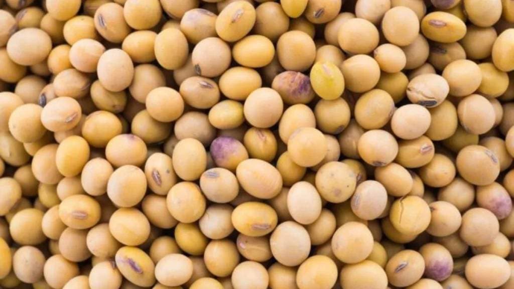 First evidence of fraud in the purchase of soybeans by Veer Chhatrapati Sushikshit Unemployed Cooperative Society in Bhokardan has come to light