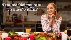वजन कमी करायचंय? दिवसभरात किती वेळा खायला हवं, ते इथे जाणून घ्या!