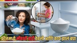 महिलांनो, फ्रिजमध्ये एकदा नक्की ठेवा मिठाने भरलेली वाटी; तुमची पावसाळ्यातील ‘ही’ मोठी समस्या होईल कायमची दूर, पाहा कमाल
