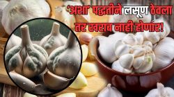 पावसाळ्यात लसणाला बुरशी येणार नाही! फक्त आजीचे ‘हे’ सहा उपाय करून पाहा; महिनोनमहिने राहील ताजा, कुठे व कसं कराल स्टोअर?