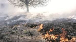 Geoengineering methods are being considered to counter climate change instead of reducing emissions article