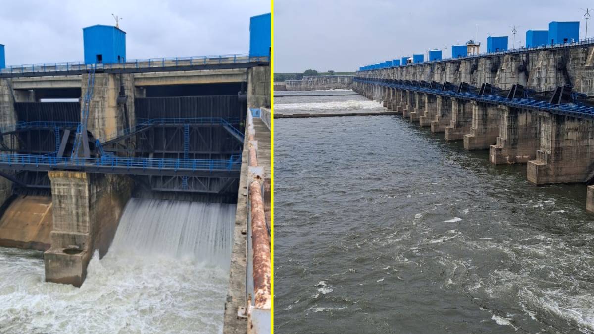गोसेखुरड धरणाच्या of 33 दरवाजाच्या goes 33 दरवाजे उघडण्यात आले.
