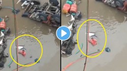 Gujarat Bridge Collapse: डोळ्यांदेखत कुटुंब बुडालं; मदतीसाठी आईनं आरोळ्या ठोकल्या; गुजरात पूल दुर्घटनेचा हृदयद्रावक व्हिडीओ व्हायरल