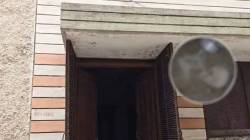 Skeleton Found in House : क्रिकेटचा बॉल शोधायला गेला तरुण, घरात मानवी सांगाडा पाहून उडाली भीतीने गाळण; कुठे घडली घटना?