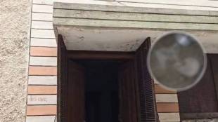Skeleton Inside The House