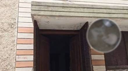 Skeleton Inside The House