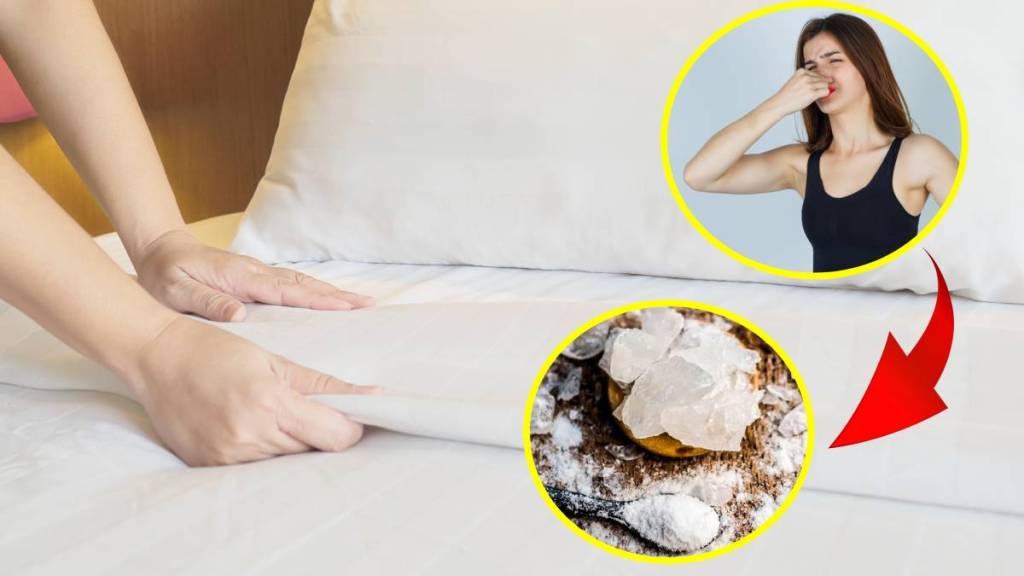 How To Get Rid of Mattress dirty Smell