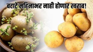 How To Store Potato For long Time