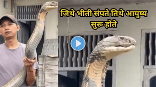 IFS officer shares jaw-dropping video of man holding King Cobra with bare hands