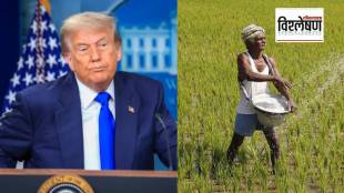 जागतिक बाजारातील बदलत्या समीकरणामुळे अमेरिकेला आपल्या शेतीमालासाठी नवी बाजारपेठ हवी आहे. (छायाचित्र पीटीआय)