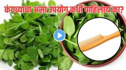 कंगवा फक्त केसांवरच नव्हे तर एकदा पालेभाज्यांवर फिरवून बघा, VIDEO पाहून सगळे अचंबित!