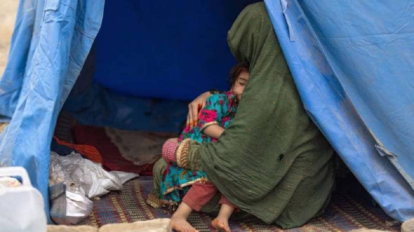Iran has expelled over half a million Afghans since the war with Israel ended.
