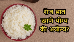 रोज भात खाणे चांगले की वाईट? भात रोज खाल्ल्याने वजन वाढते का? जाणून घ्या डॉक्टरांचे मत