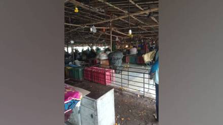 Kalyan APMC traders one day strike against administrations