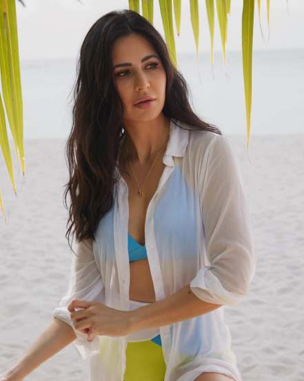 Katrina Kaif News 