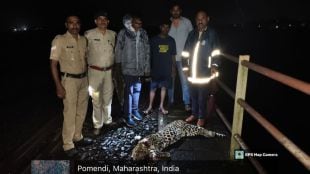 Leopard dies after collision with Matsyagandha Express near Ratnagiri