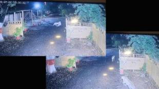 Leopard hunts down dog in government office in nagpur