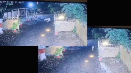 Leopard hunts down dog in government office in nagpur