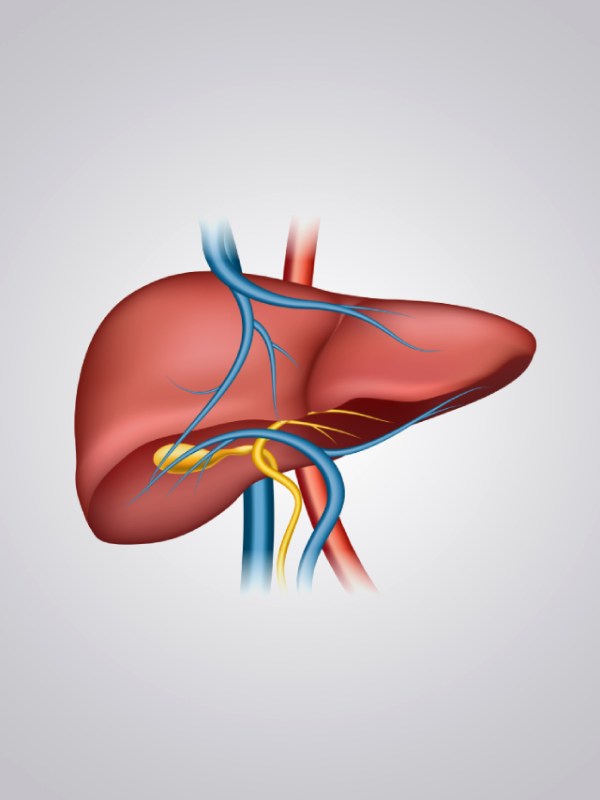 Liver Health Important Tips