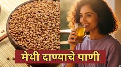 रोज सकाळी उठल्या-उठल्या मेथी दाण्याचे पाणी प्यायल्याने तुमच्या शरीरावर काय परिणाम होईल? तज्ज्ञांकडून जाणून घ्या…