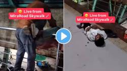 मिरारोडमध्ये या गोष्टींविरोधात कधी मोर्चे निघणार? स्कायवॉकवरील ‘त्या’ धक्कादायक Video वर लोकांचा सवाल