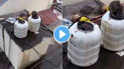 रेल्वेस्थानकावरील चहा, ज्यूस, खाद्यपदार्थ चवीने खाताय? मग ‘हा’ किळसवाणा VIDEO पाहाच; कसा सुरू आहे प्रवाशांच्या जीवाशी खेळ