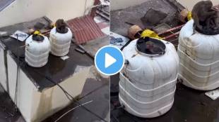 Monkey Bath Railway Station water video
