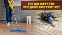 पावसाळ्यात घरातील फरशी पुसूनही माशा येतात? पुसण्याच्या पाण्यात ‘हे’ ३ पदार्थ मिसळा; किडे, डास, झुरळ होतील छूमंतर