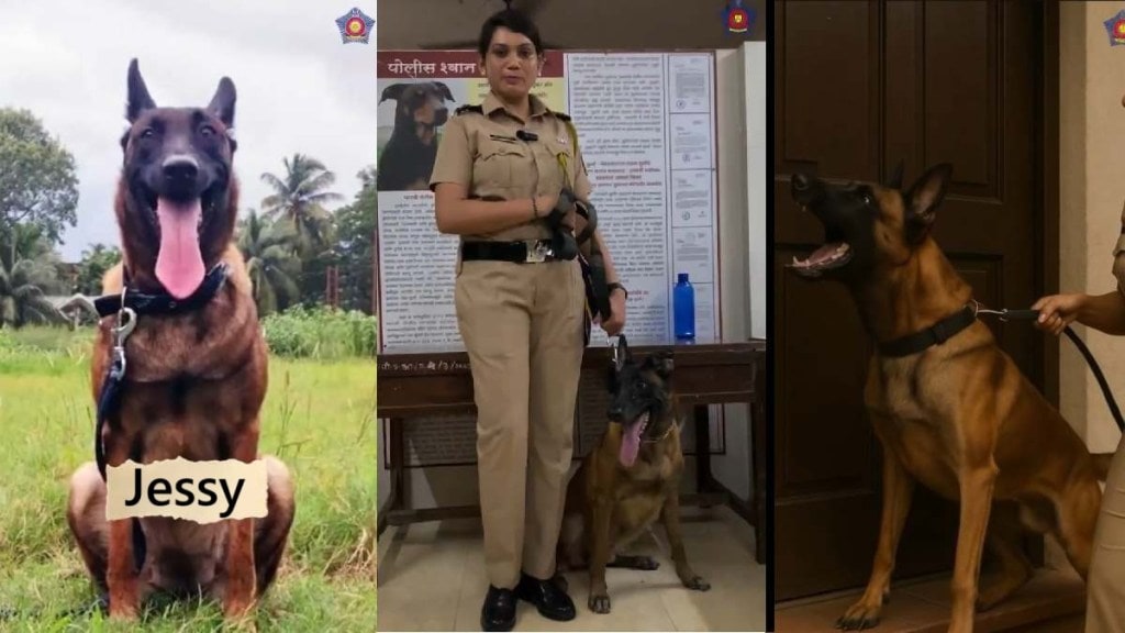 Mumbai Police Dog Jessy News
