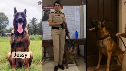 Mumbai Police Dog Jessy News