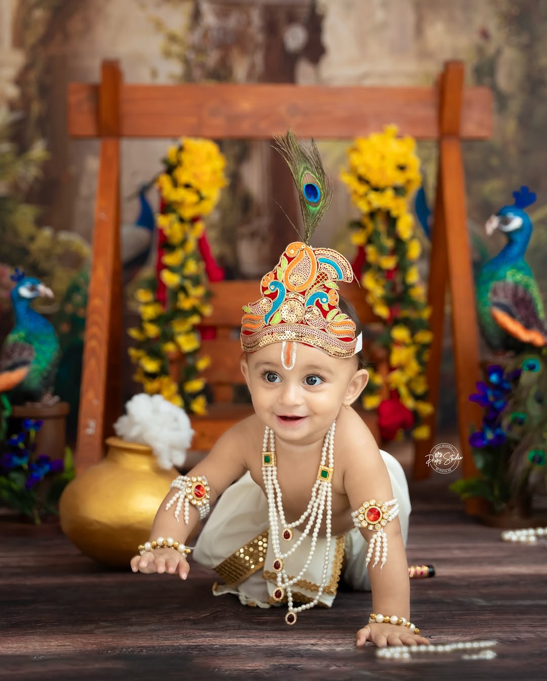 Myra Vaikul Vyom Vaikul Krishna Janmashtami 2025