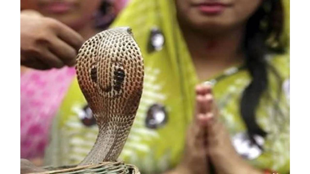 Nag Panchami 2025 dos, Nag Panchami 2025 Don't