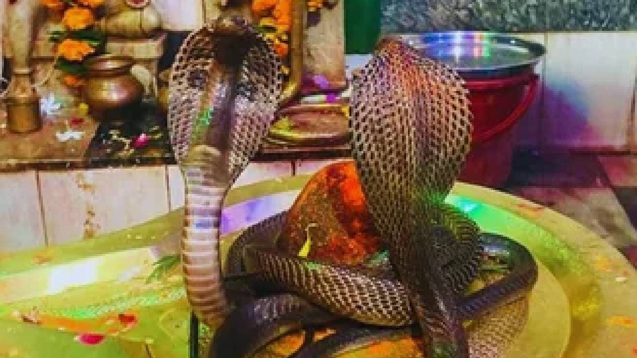 Nag Panchami 2025 dos, Nag Panchami 2025 Don't
