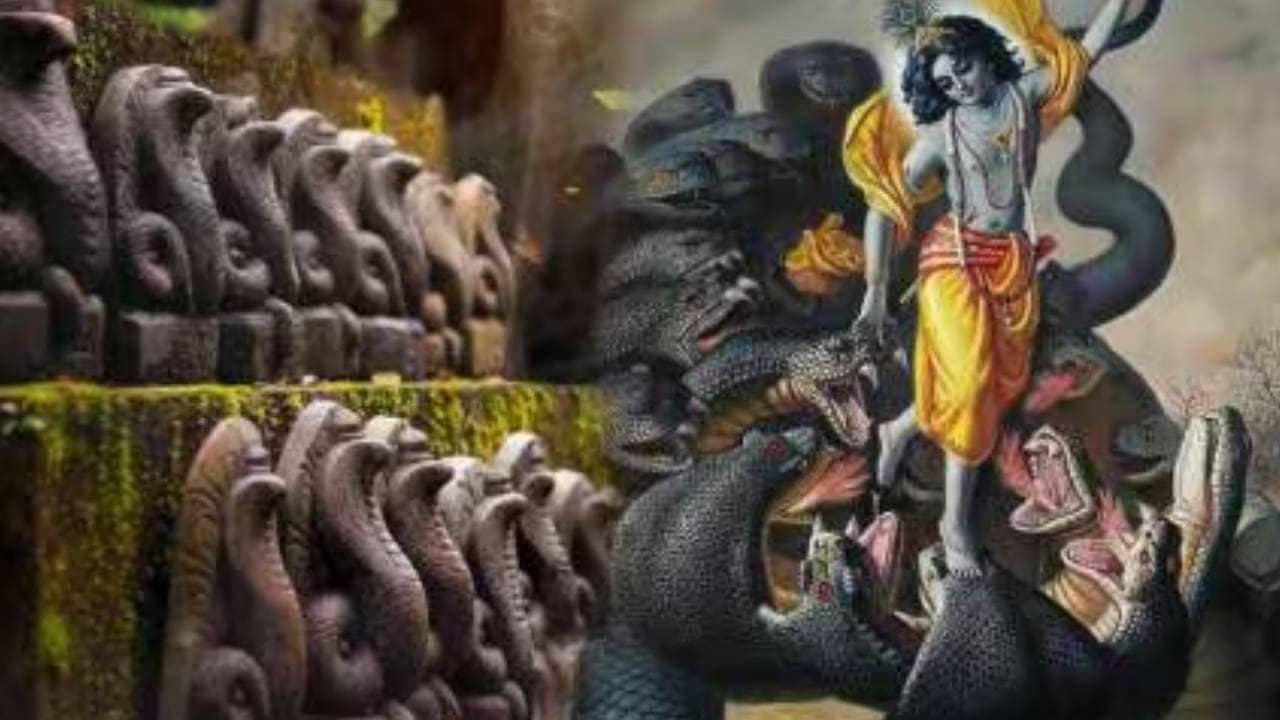 Nag Panchami 2025 dos, Nag Panchami 2025 Don't