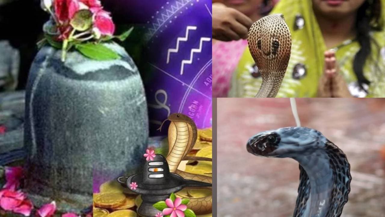 Nag Panchami 2025 dos, Nag Panchami 2025 Don't