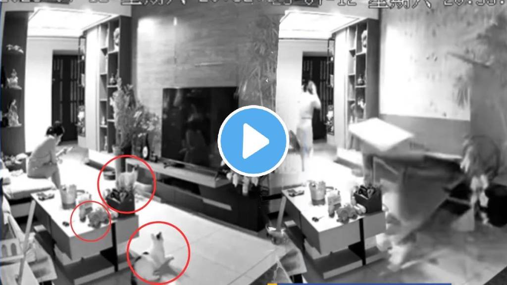 Shocking Viral Video