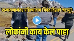 VIDEO: रामायणानंतर पहिल्यांदाच जिवंत दिसले जटायू? रस्त्याच्या कडेला बसलेल्या जटायूचं रूप पाहून हैराण व्हाल; लोकांनी काय केलं पाहा