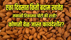 एका दिवसात किती बदाम खावेत, सकाळी रिकाम्या पोटी की रात्री? कोणती वेळ जास्त फायदेशीर? जाणून घ्या