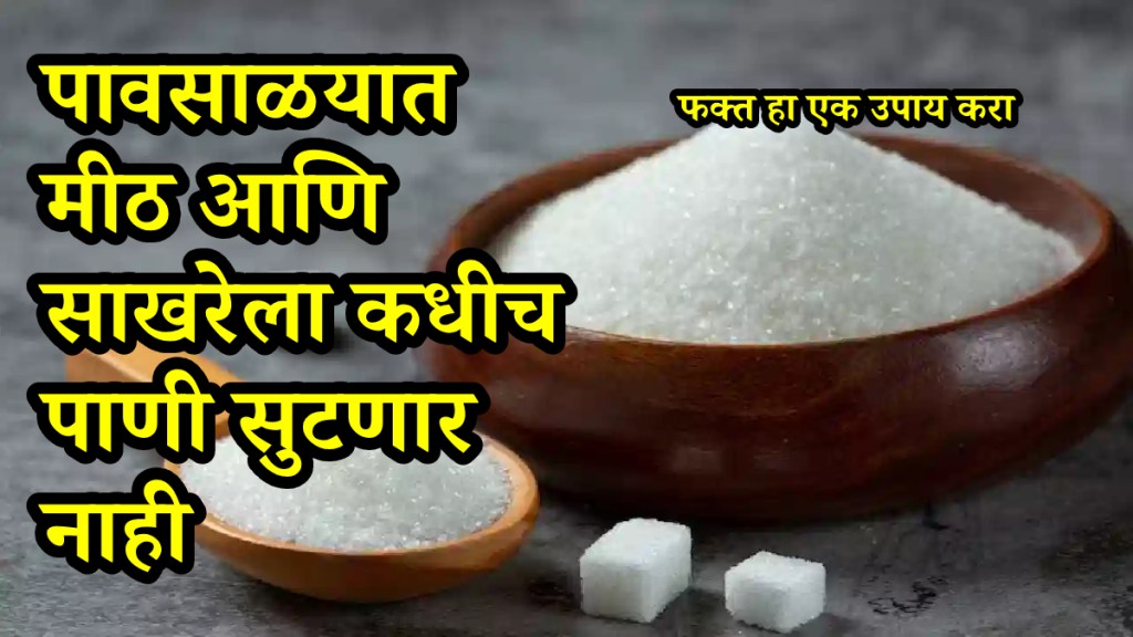 How to protect salt coffee and sugar from getting damp in rainy season useful kitchen hacks