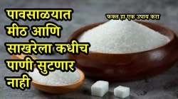 Kitchen Tips: पावसाळ्यात मीठ व साखरेला ओलसरपणा येऊन गुठळ्या तयार होतात? या चार टिप्सने मिनिटांत ओलावा होईल दूर