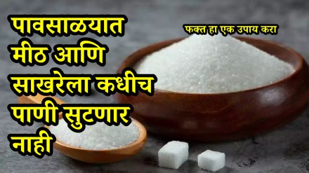 How to protect salt coffee and sugar from getting damp in rainy season useful kitchen hacks