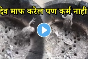 shocking video the people burned the frog video