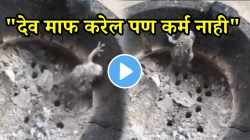 “देव माफ करेल पण कर्म नाही!” बेडकाला जळत्या निखाऱ्यात टाकलं; जीव वाचवण्यासाठी तडफडत राहीला पण शेवटी…VIDEO व्हायरल