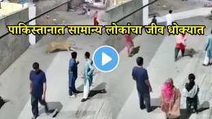 Lion attack on peoples in Pakistan scary video goes viral on social media
