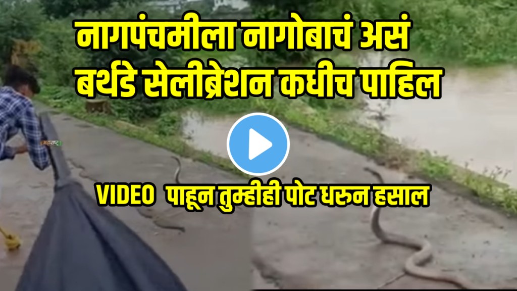 Nagpanchami snake birthday celebration funny and risky video viral on social Media