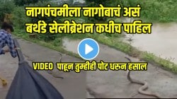पोरं काय करतील याचा नेम नाही! नागपंचमीला चक्क नागाचा वाढदिवस केला साजरा; VIDEO पाहून तुम्हीही पोट धरुन हसाल