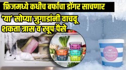फ्रिजमध्ये सारखा बर्फाचा डोंगर साचतोय? ‘या’ सोप्या जुगाडांनी वाचवू शकता त्रास व खूप पैसे; कुलिंगही होईल चांगले