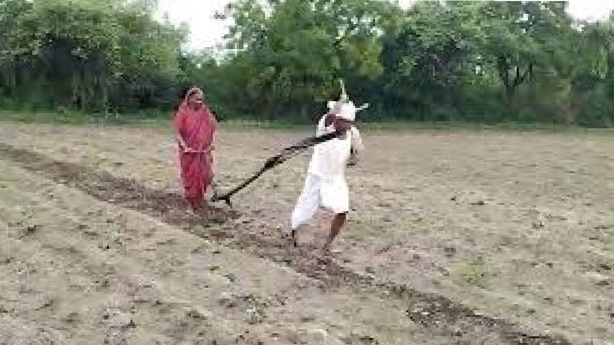 …आणि अंबादास पवार यांच्या मानेवरील ‘जू’ हटलेच बैलजोडी, कर्ज बेबाकीसह लोकप्रतिनिधींची मदत