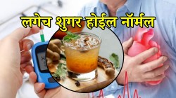 हाय ब्लड शुगर कंट्रोल करण्यासाठी रोज प्या ‘हे’ खास पाणी; लगेच शुगर होईल नॉर्मल, जाणून घ्या कसं कराल तयार